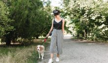 Dog Walk & Train Services: The Perfect Blend of Exercise and Training for Your Dog