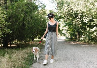 Dog Walk & Train Services: The Perfect Blend of Exercise and Training for Your Dog