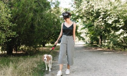 Dog Walk & Train Services: The Perfect Blend of Exercise and Training for Your Dog